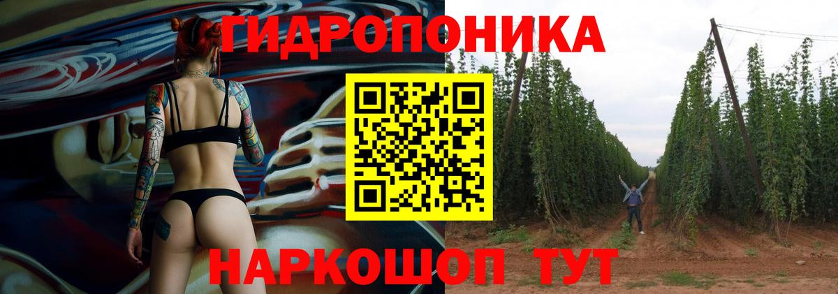 Асино  Марихуана марихуана  Вход с VPN  Бошки марихуана тримм  Марихуана VHQ 