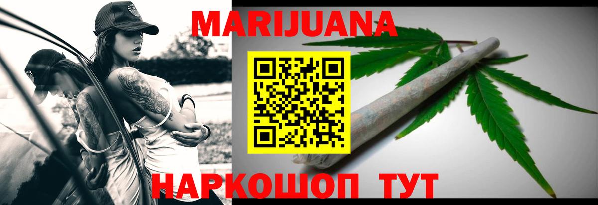 Бошки Шишки планчик Асино